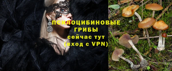 mdpv Горняк
