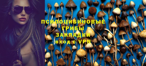 mdpv Горняк